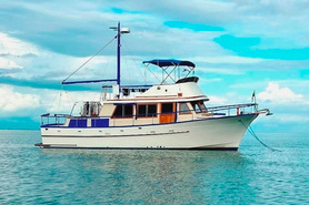 Image of 1981 Albin 36 Classic Trawler 