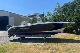 Image of 2003 Triton 29'  